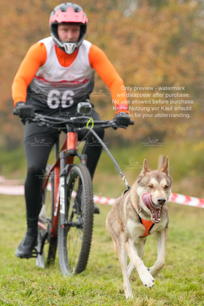 AusschnitteSa-118 | stephaniefillaphotographie - Realisiert mit Pictrs.com