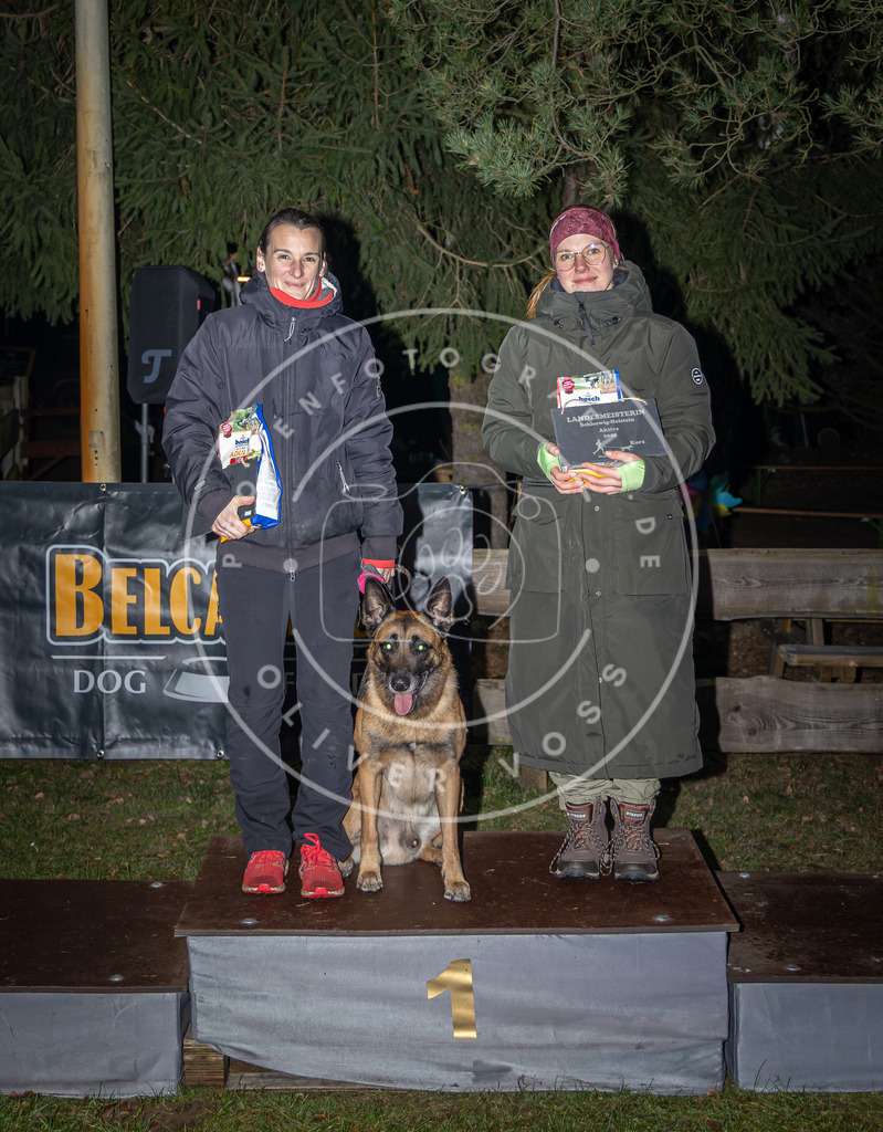 Pfotenfotografie_0L8A1952 | Hundefotografie, Tierfotograf, Pfotenfotografie, Fotoshooting Hund, Hunde Portrait, Hundesport, Hundeportraits, Heideshooting, Hunde, Sportfotograf, Hundefotograf, Turnierhundsport, THS,  - Realisiert mit Pictrs.com