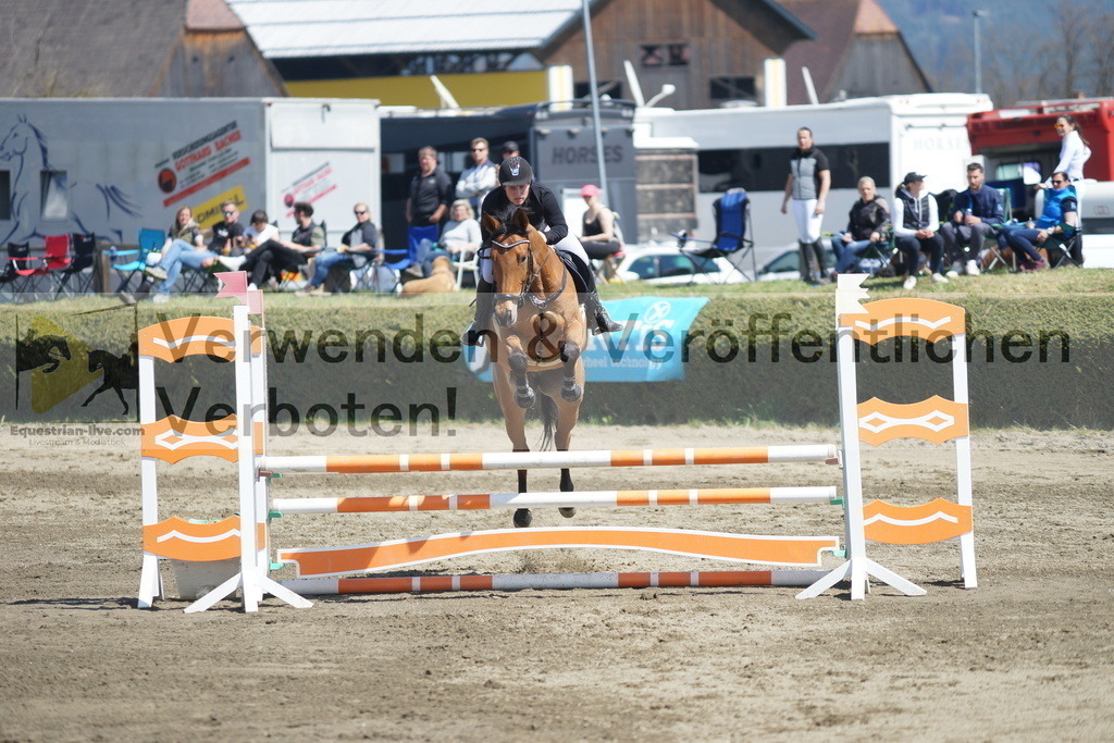 DSC02937 | equestrian-live-com