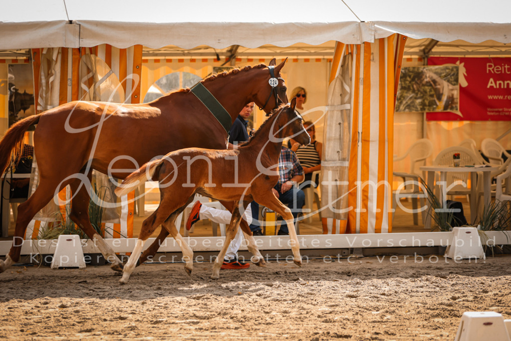 09.DoWBD00136 | Leoni Ertmer Photography - Realisiert mit Pictrs.com