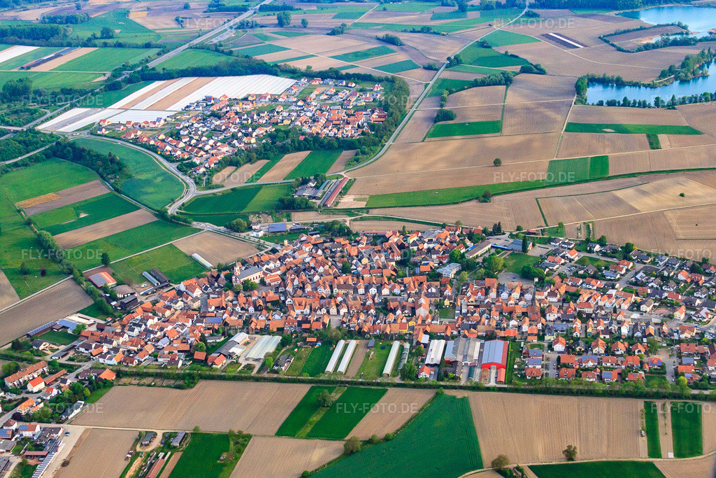 Luftbild: Dorfansicht von Süden in Neupotz im Bundesland Rheinland-Pfalz in Deutschland. Foto: IMG_40368.jpg vom 24.04.2011 durch Werner Riehm/FLY-FOTO.de
