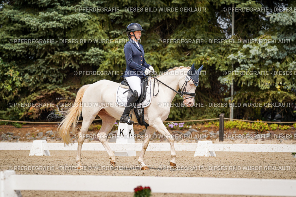 DSC04440 | Pferdegrafie