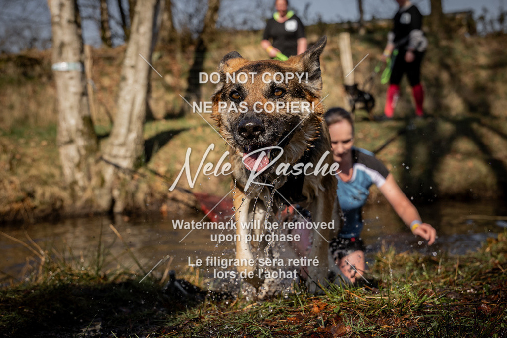 nelerasche_FS1100-1145_254 | nelerasche
