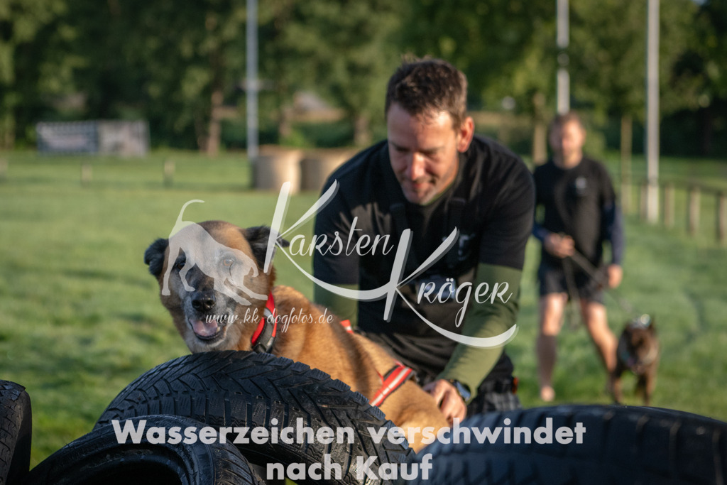 0810_ZZ90537 | kk-dogfotos
