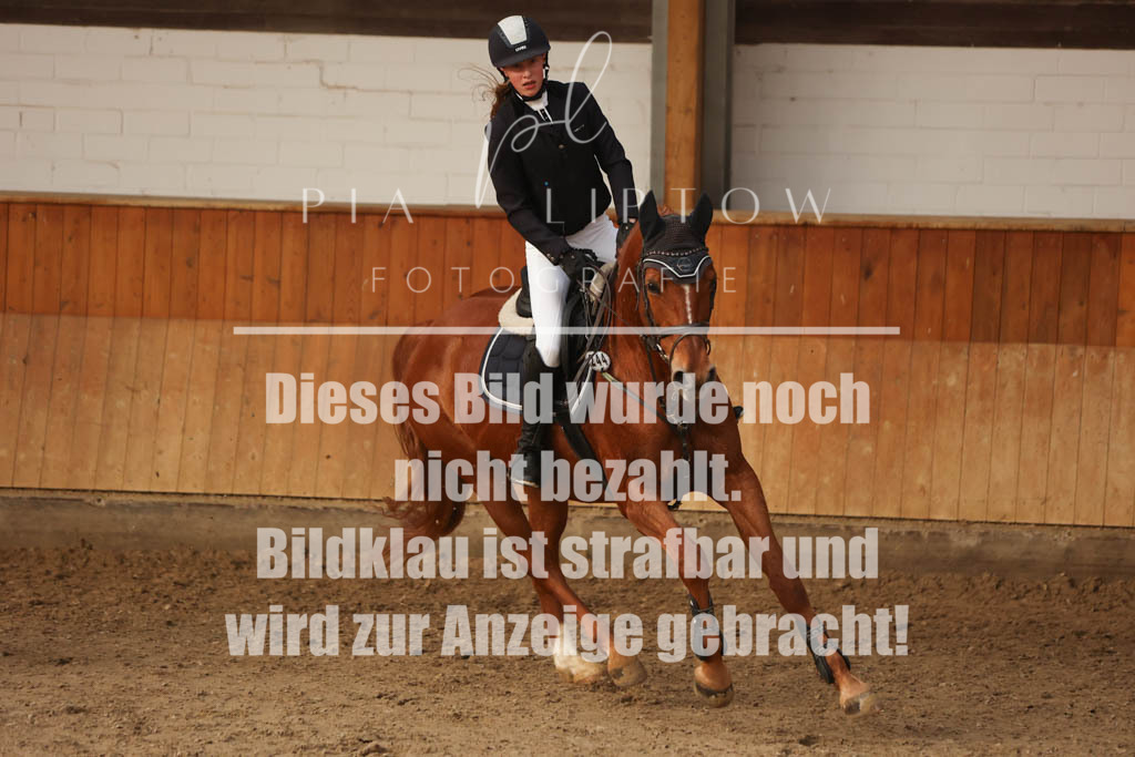 IMGM5784 | pl-fotografie