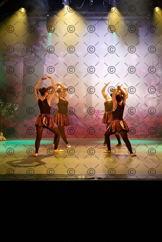 Ballettaufführung-30 | Bildershop Lem'n Entertainment - Realisiert mit Pictrs.com