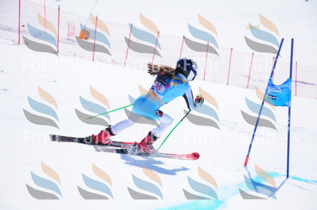 DSC_4258 | holidayphoto