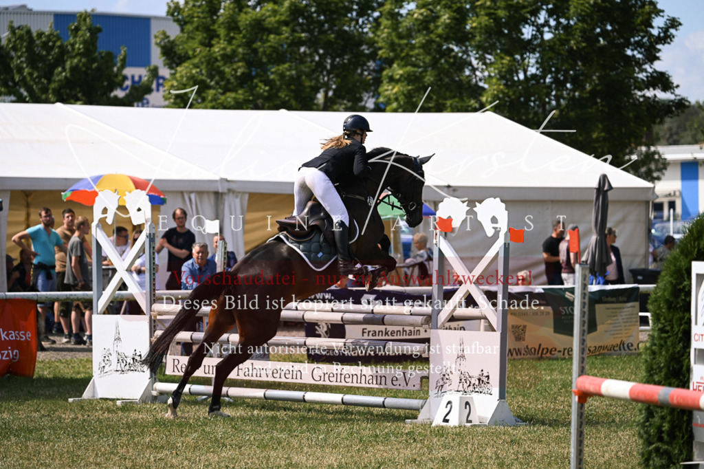 DSC_0521 | Pferde- und Turnierfotografie in Westsachsen. Pferdeportraits, Auftragszeichnungen und intuitive Kunst.