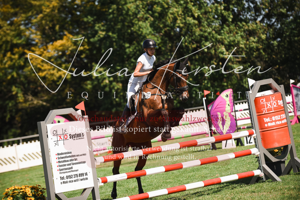 DSC_2895 | Pferde- und Turnierfotografie in Westsachsen. Pferdeportraits, Auftragszeichnungen und intuitive Kunst.