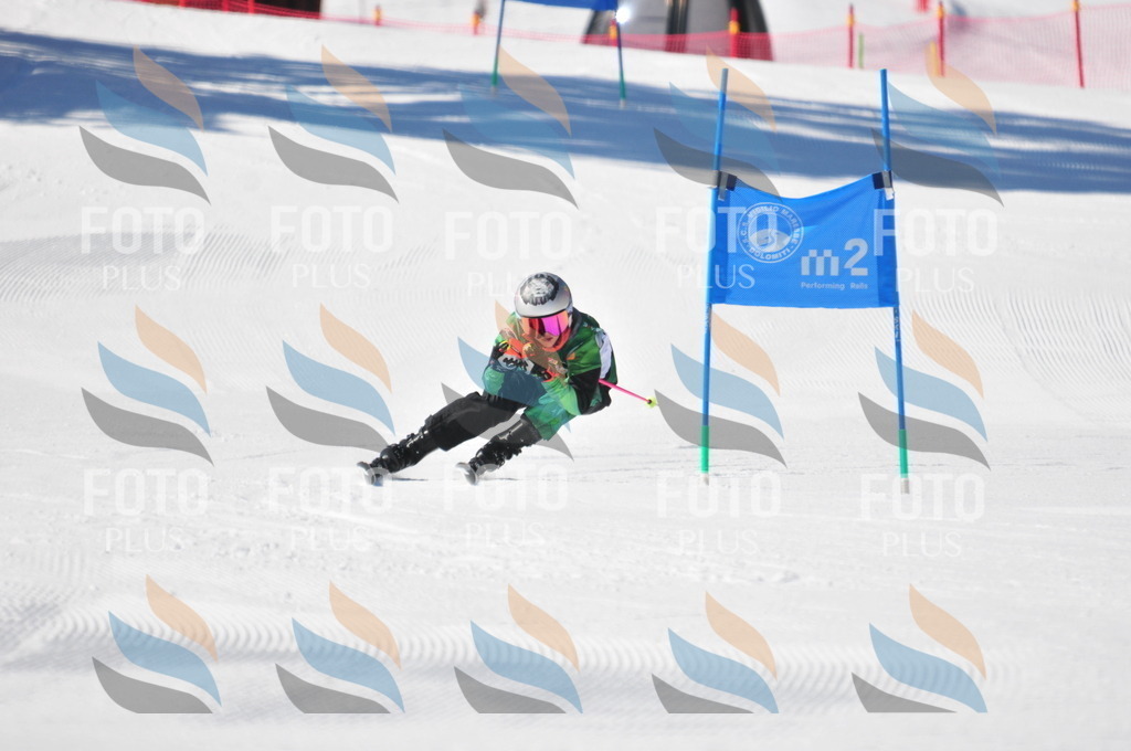 C3594 | holidayphoto