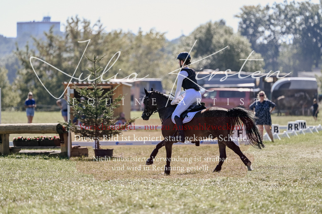 DSC_2957 | Pferde- und Turnierfotografie in Westsachsen. Pferdeportraits, Auftragszeichnungen und intuitive Kunst.