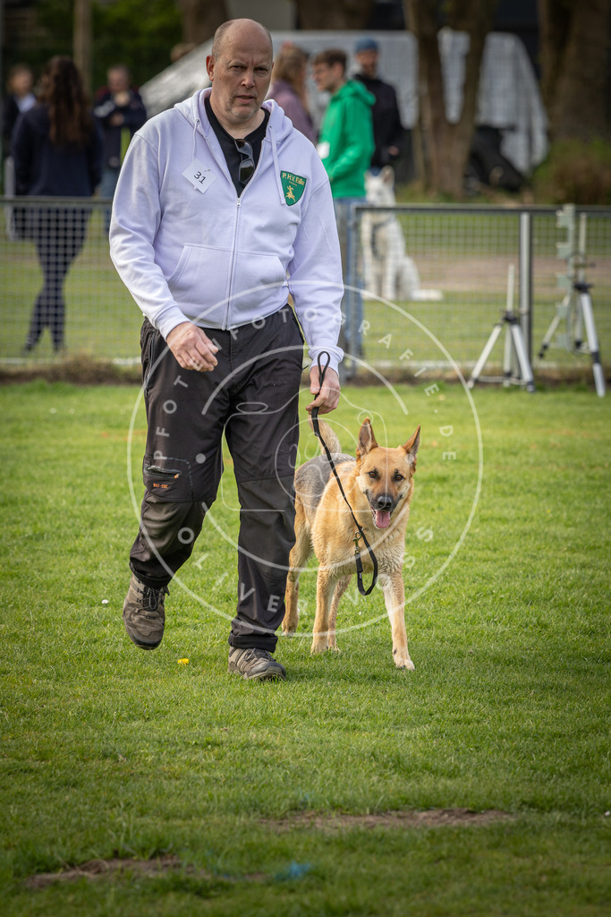 Pfotenfotografie_DV3A4912 | Hundefotografie, Tierfotograf, Pfotenfotografie, Fotoshooting Hund, Hunde Portrait, Hundesport, Hundeportraits, Heideshooting, Hunde, Sportfotograf, Hundefotograf, Turnierhundsport, THS,  - Realisiert mit Pictrs.com