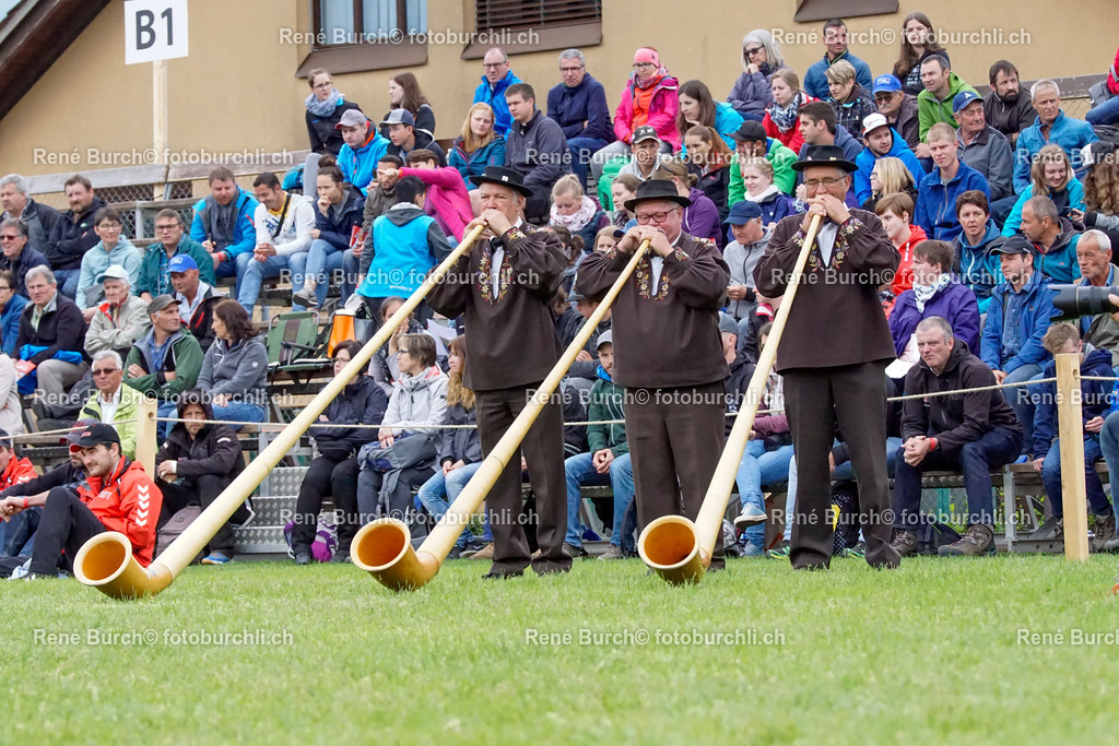 _DSC0610 | René Burch leidenschaftlicher Fotograf aus Kerns in Obwalden.  Hier finden sie Sport, Landschaft und Natur Fotografie.
 - Realisiert mit Pictrs.com