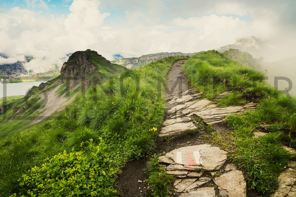 DSC03659 | Tinu Müller Fotografie- Bildershop - Realisiert mit Pictrs.com