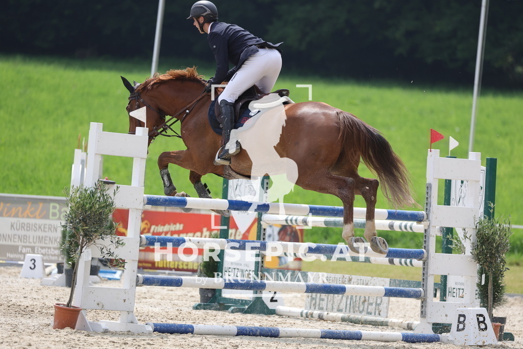 0P6A4912 | Willkommen bei Brunnmayr - Design & Fotografie – Ihrem Spezialisten für Reitturniere und Pferdeveranstaltungen in Oberösterreich, Salzburg und Bayern! Seit über 17 Jahren sind wir leidenschaftlich dabei.