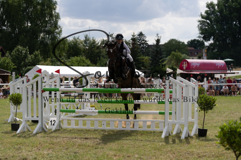 A7V02550 | Pferdefotograf