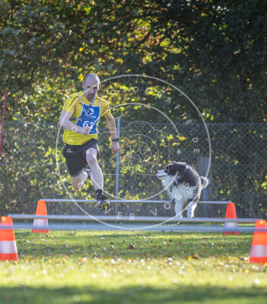 Pfotenfotografie.de_DV3A3180 | Hundefotografie, Tierfotograf, Pfotenfotografie, Fotoshooting Hund, Hunde Portrait, Hundesport, Hundeportraits, Heideshooting, Hunde, Sportfotograf, Hundefotograf, Turnierhundsport, THS, canicross - Realisiert mit Pictrs.com