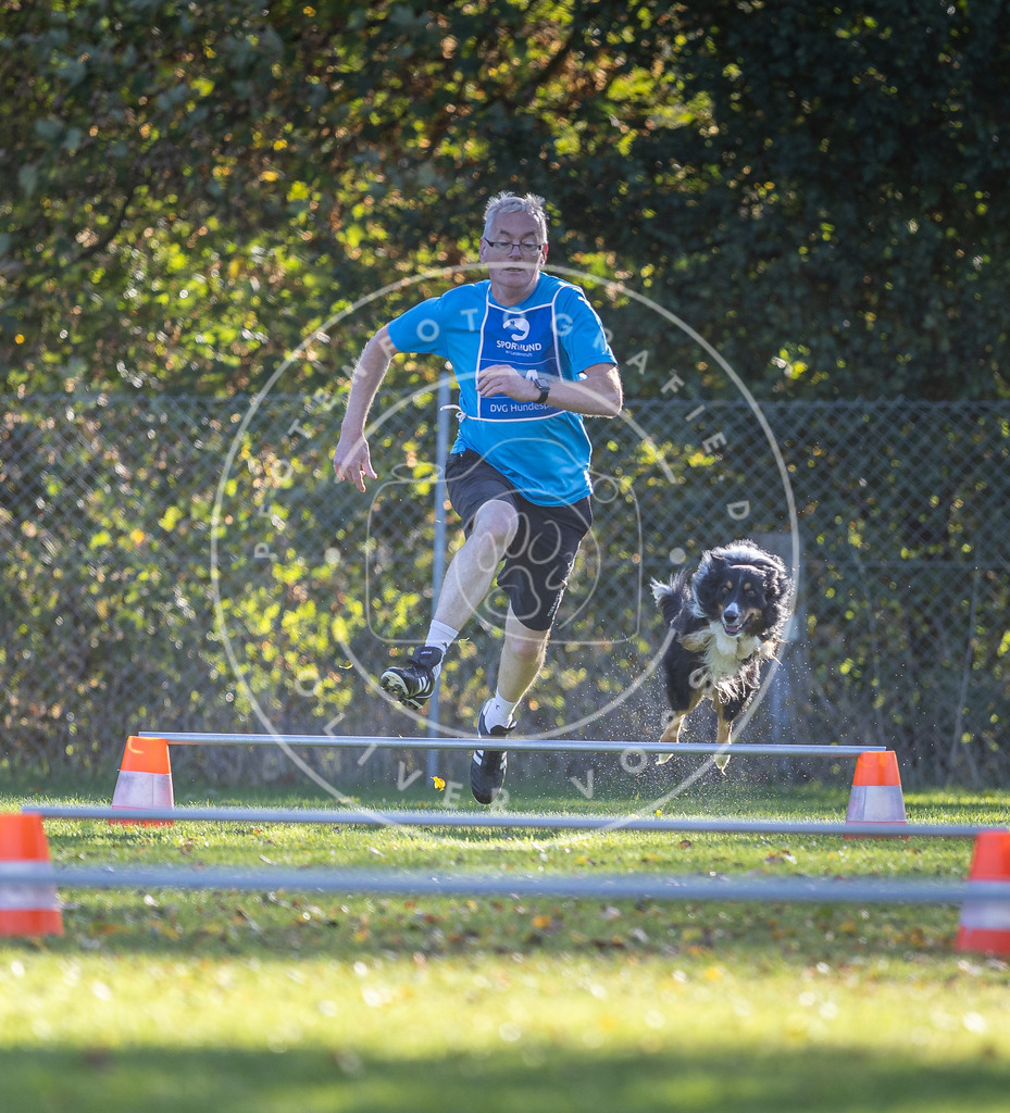 Pfotenfotografie.de_DV3A3042 | Hundefotografie, Tierfotograf, Pfotenfotografie, Fotoshooting Hund, Hunde Portrait, Hundesport, Hundeportraits, Heideshooting, Hunde, Sportfotograf, Hundefotograf, Turnierhundsport, THS, canicross - Realisiert mit Pictrs.com