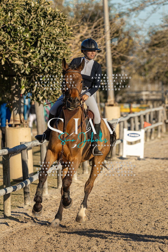 IMG_2566 | s-jay-photography - Realisiert mit Pictrs.com