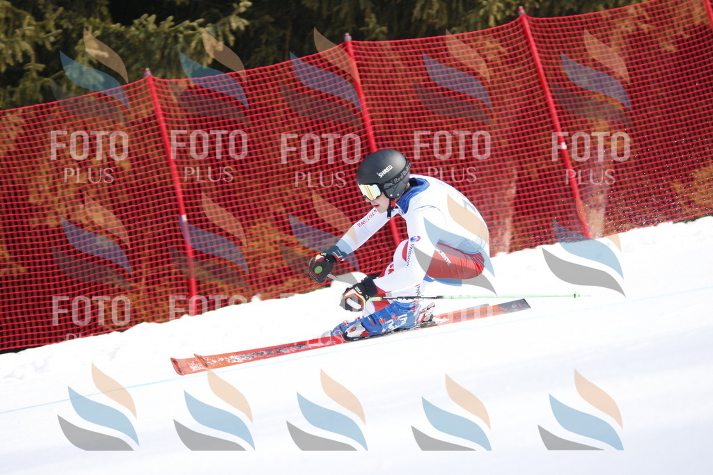 D7708 | holidayphoto