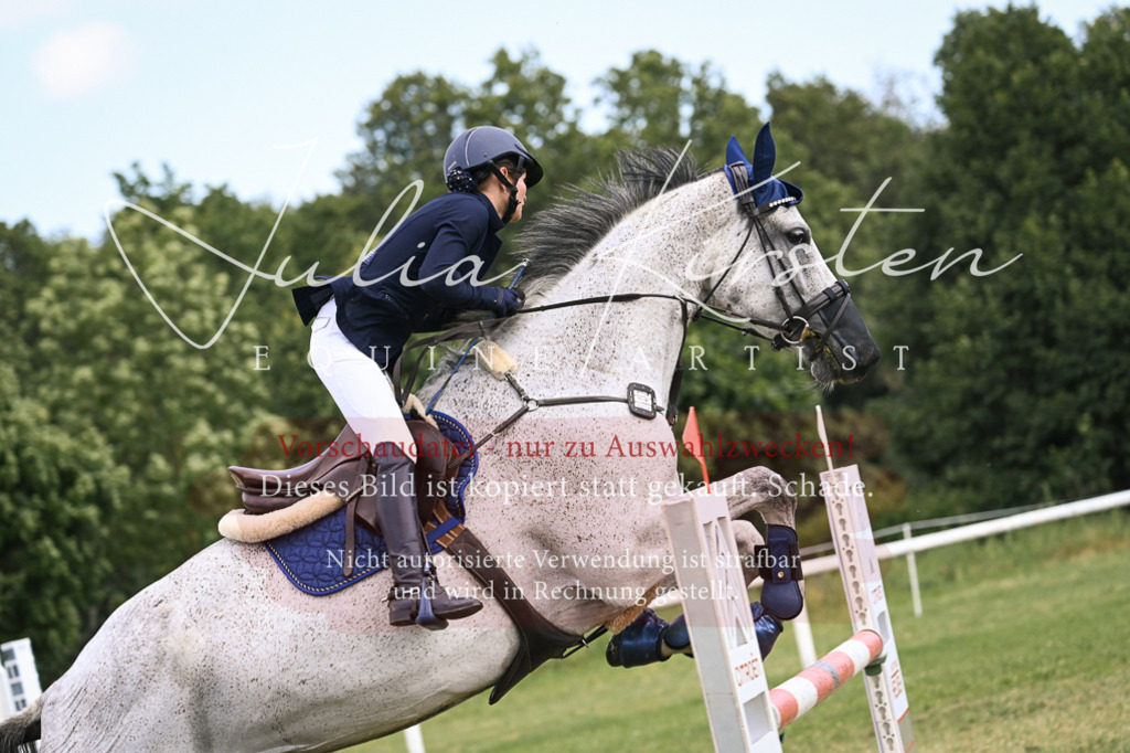DSC_0943 | Pferde- und Turnierfotografie in Westsachsen. Pferdeportraits, Auftragszeichnungen und intuitive Kunst.