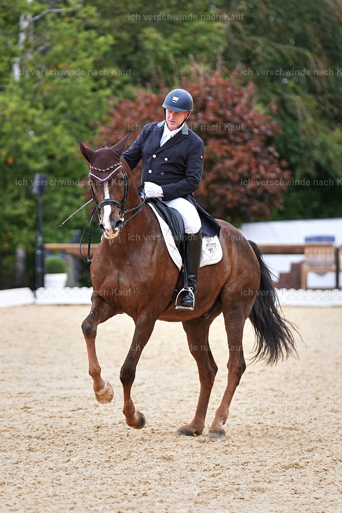 11-092-Dressur S___-Marixx-1605 | working equitationturnier fotograf videograf stoibphotography marixx film working equitation deutschland reitsport turnierfotografie eventfotografie equestrian events