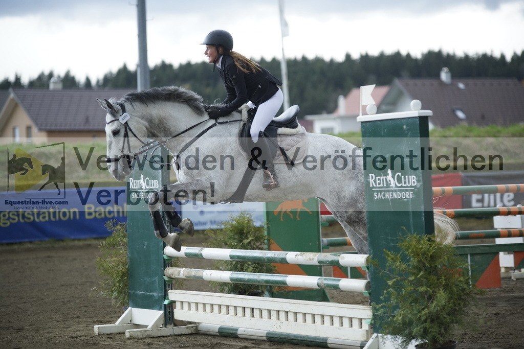 _DSC8436 | equestrian-live-com