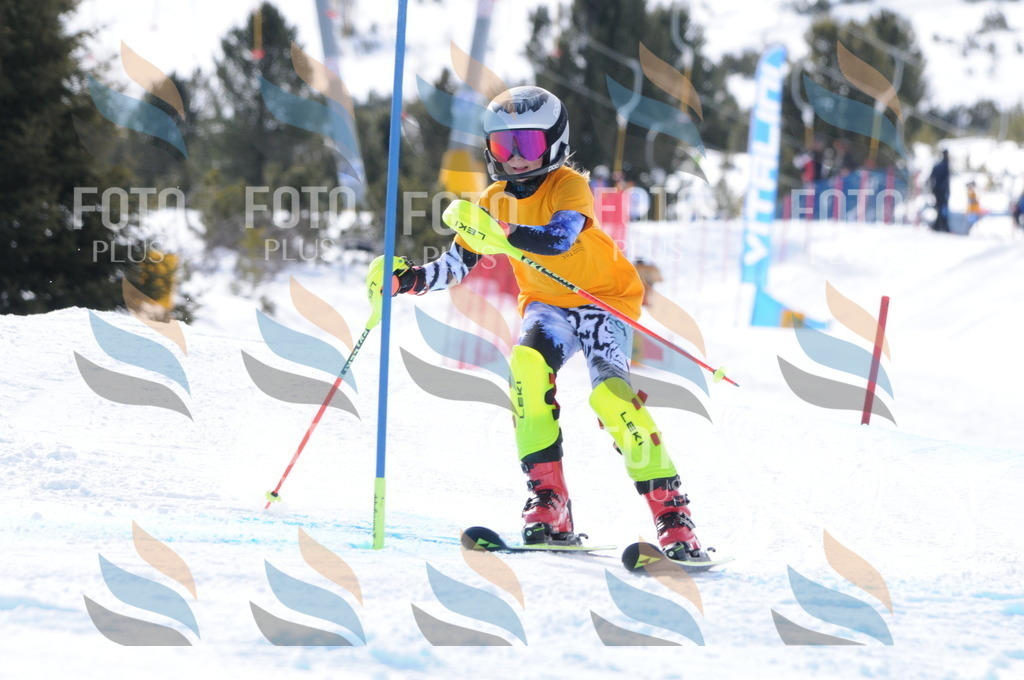 C8802 | holidayphoto