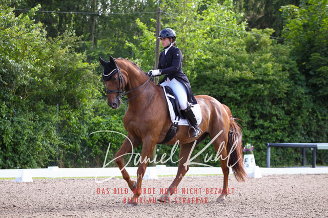 DKP41581 | Deine Turnierfotos vom Reitturnier online kaufen: Dressur, Springen & Siegerehrung. Professionelle Pferdefotografie aus dem Rheinland – als Download & Print.Alternative: Turnierfotograf für den Pferdesport: Finde deine Fotos von Dressur- und Springturnier