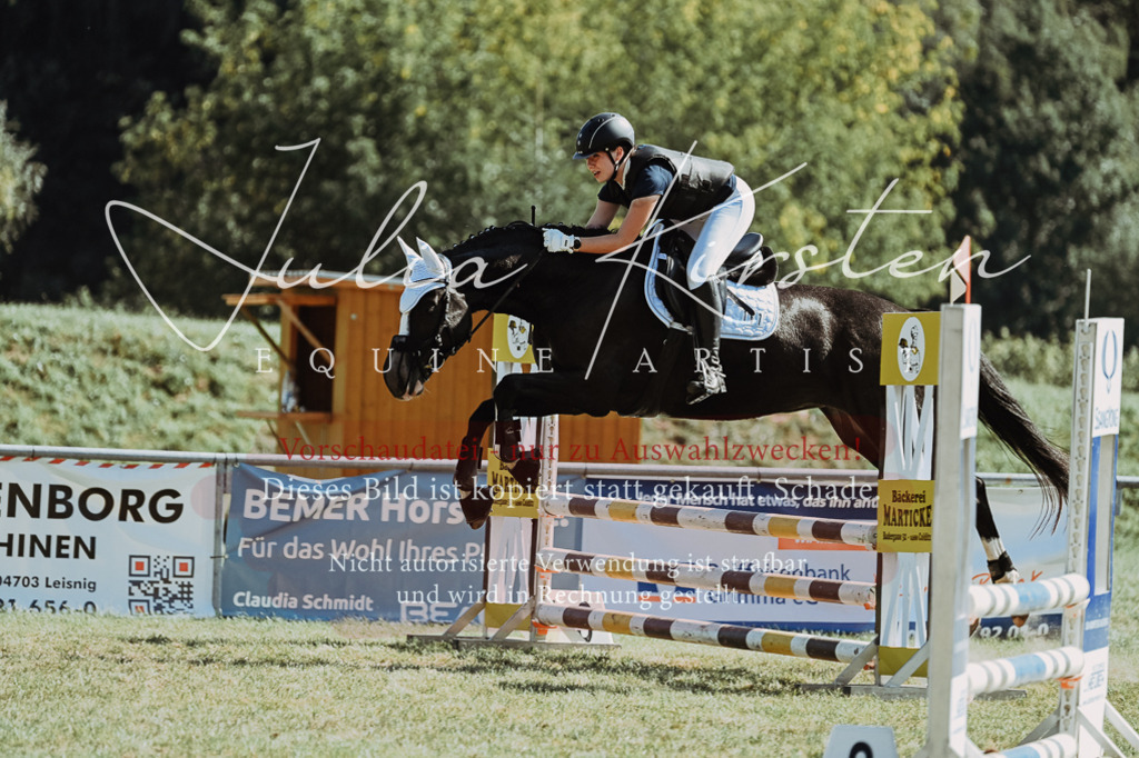 DSC_6640 | Pferde- und Turnierfotografie in Westsachsen. Pferdeportraits, Auftragszeichnungen und intuitive Kunst.