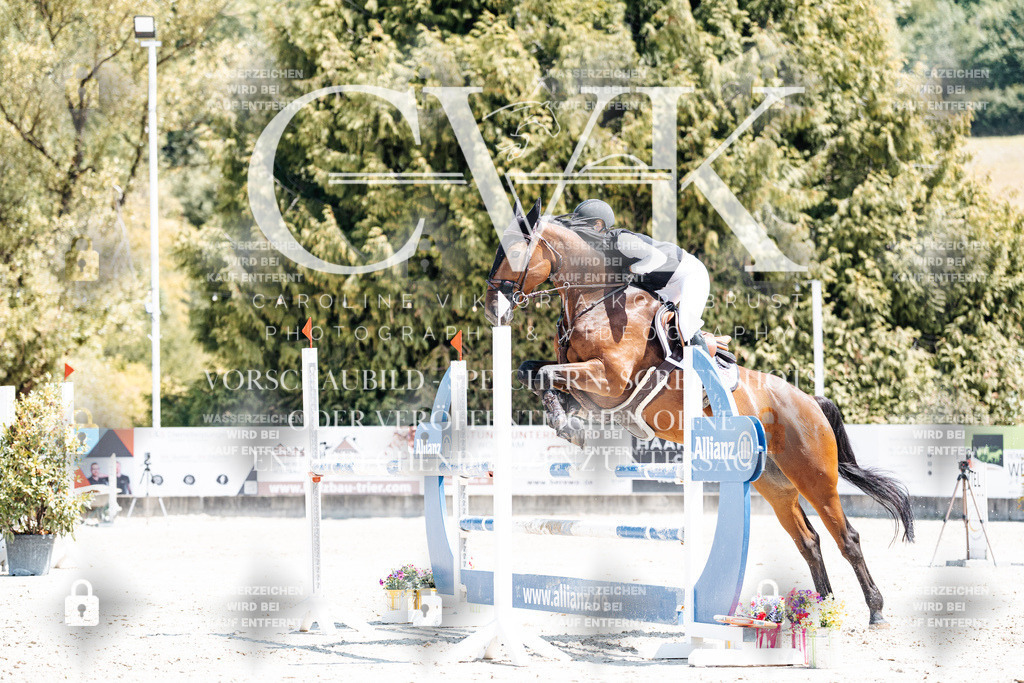 CK900460 | Turnierfotografie Pferdefotografie Trier Rheinland-Pfalz Pferdesport Reitsport Tierfotografie Sportfotografie Pferdevideo Pferdevideografie Equestrianvideography equestrianphotography  - Realisiert mit Pictrs.com