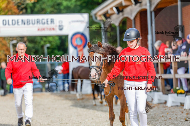 GK (492 von 759) | mandyhollmannphotographie