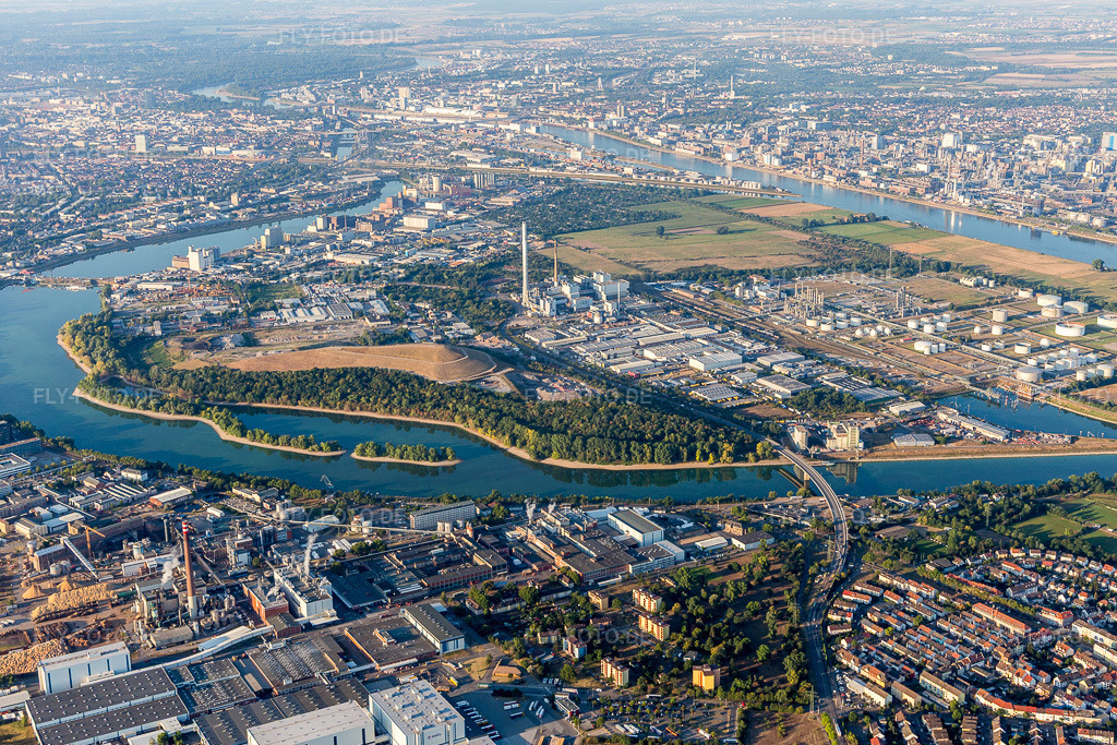 Luftbild: Friesenheimer Insel im Ortsteil Neckarstadt-West in Mannheim im Bundesland Baden-Württemberg in Deutschland. Foto: IMG_109485.jpg vom 31.07.2018 durch Werner Riehm/FLY-FOTO.de