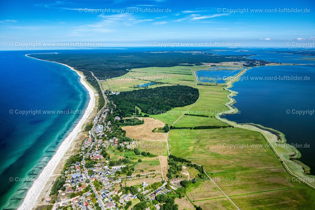 Ahrenshoop_ELS_8792100822 | AHRENSHOOP 10.08.2022 Ortsansicht an der Meeres-Küste der Ostsee in Ahrenshoop an der Ostseeküste im Bundesland Mecklenburg-Vorpommern, Deutschland. Weiterführende Informationen bei: Kurverwaltung Ahrenshoop Eigenbetrieb der Gemeinde Ostseebad Ahrenshoop. // Townscape on the seacoast of Baltic Sea in Ahrenshoop at the baltic sea coast in the state Mecklenburg - Western Pomerania, Germany. Further information at: Kurverwaltung Ahrenshoop Eigenbetrieb der Gemeinde Ostseebad Ahrenshoop. www.ostseebad-ahrenshoop.de Foto: Martin Elsen