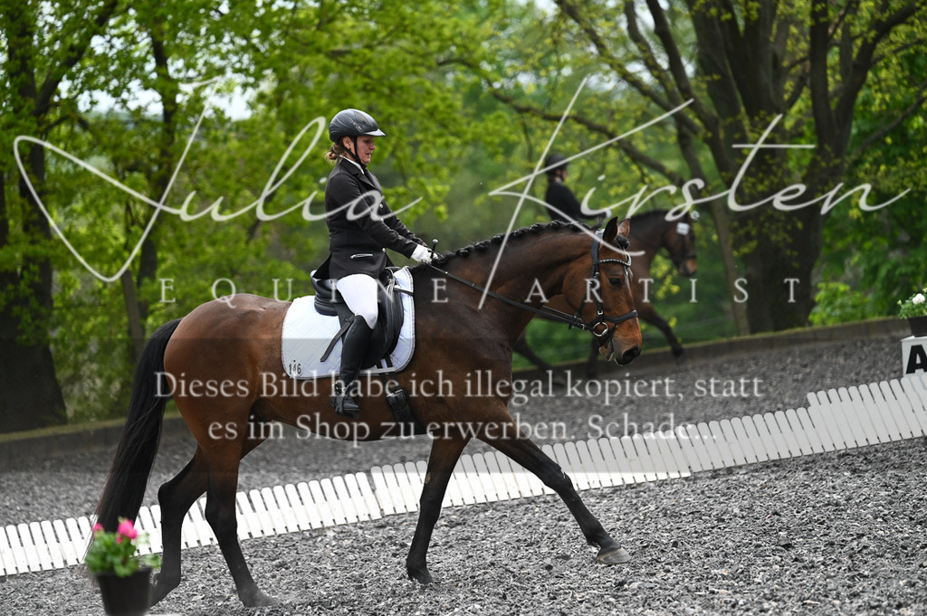 20230512_JK-Röhrsdorf-07-103 | Pferde- und Turnierfotografie in Westsachsen. Pferdeportraits, Auftragszeichnungen und intuitive Kunst.