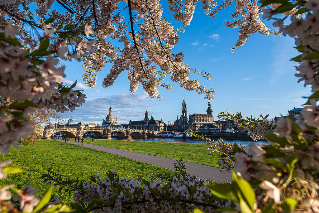 -0-9490-TOP | Geschenke, Wandbilder und Accessoires mit Motiven aus Dresden und anderen schönen Orten zur Verschönerung Deines zu Hauses und zum verschenken gewünscht? Wähle Deine Lieblingsbild auf dem Produkt Deiner Wahl. 