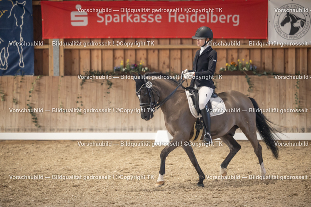 _D5A2858 | Emotionale Pferde- & People-Fotografie rund um Heidelberg, Leimen & Umgebung. Natürliche Fotos von Pferd, Mensch & Familie. Jetzt Termin sichern!