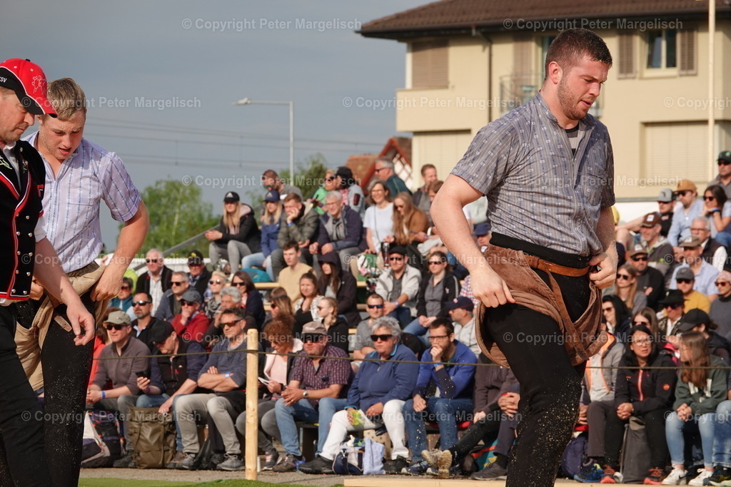 DSC03596 | Schwingen - Realisiert mit Pictrs.com