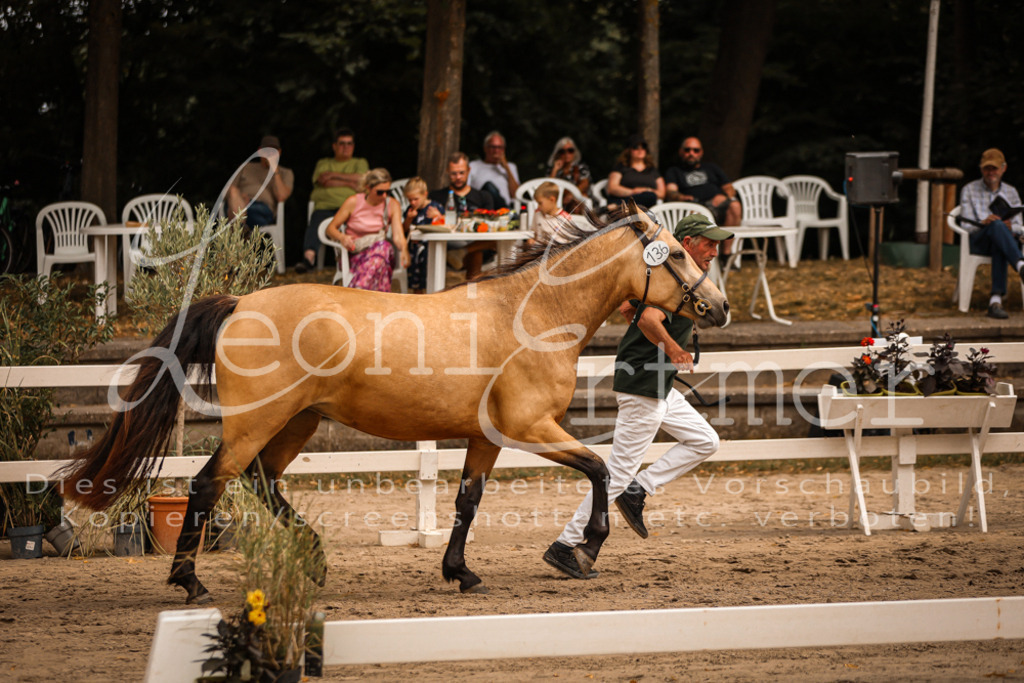 04.So00095 | Leoni Ertmer Photography - Realisiert mit Pictrs.com