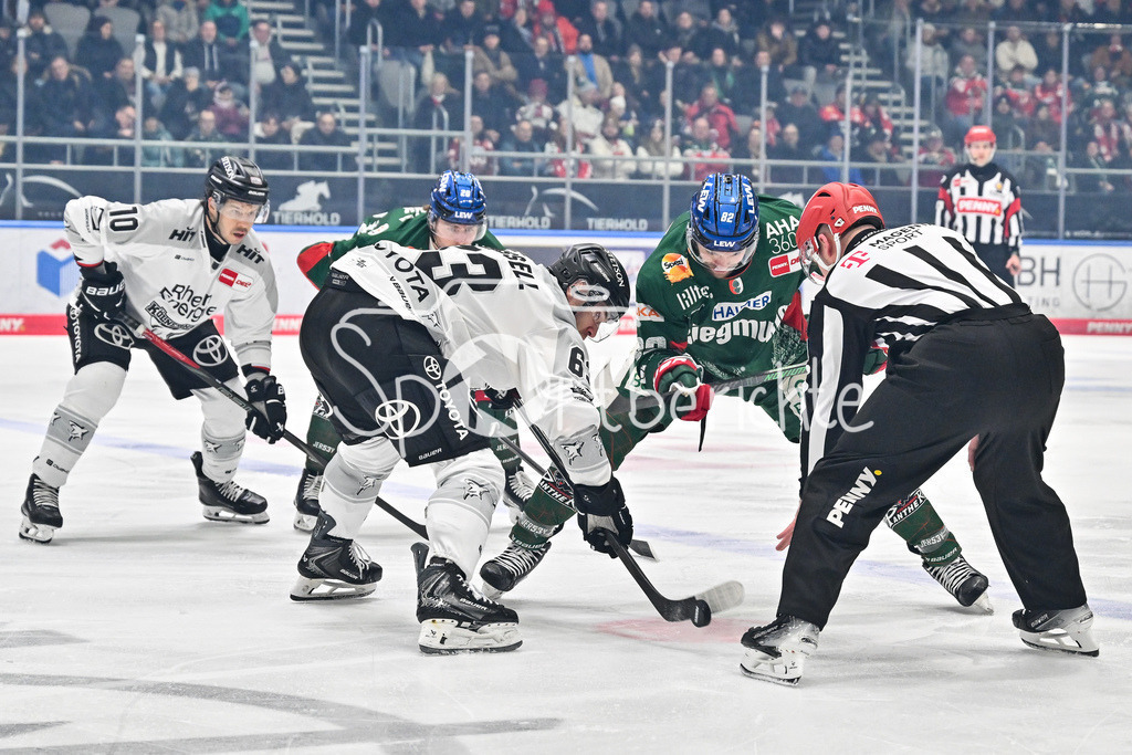 Augsburger Panther - Kölner Haie | AUGSBURG, GERMANY - 11. JANUARY: beim Bully Patrick RUSSELL (Kölner Haie 63) und Alexandre GRENIER (Augsburger Panther 82) während dem Match zwischen den Augsburger Panthern und den Kölner Haien am 39. Spieltag der penny DEL im Curt Frenzel Stadion