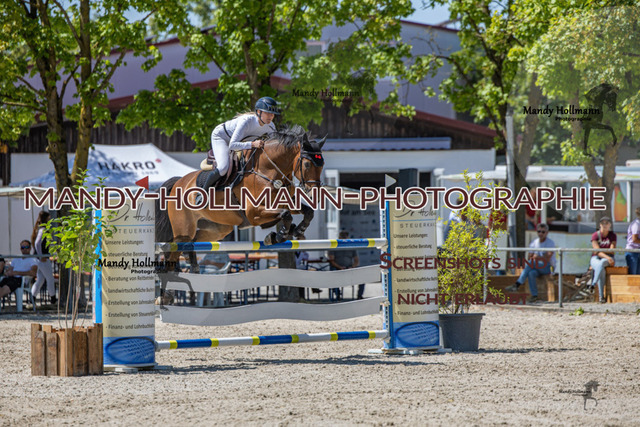 26-7-24 SPF m++-417 | mandyhollmannphotographie