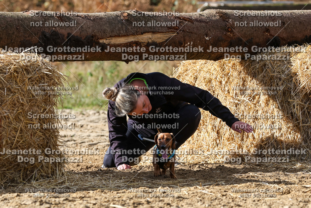 Dog Paparazzi - Strongdog 10-25-4969 | Dog Paparazzi Jeanette Grottendiek Fotografie & Videografie - Realisiert mit Pictrs.com