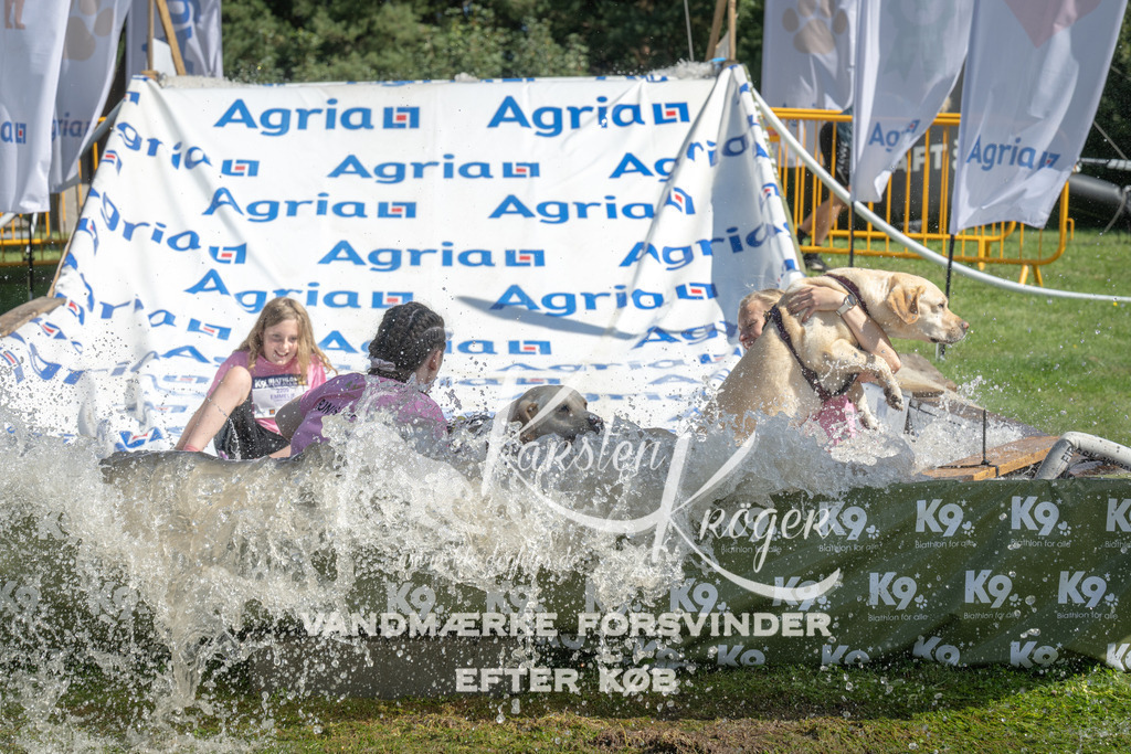 1151_ZZ94407 | kk-dogfotos