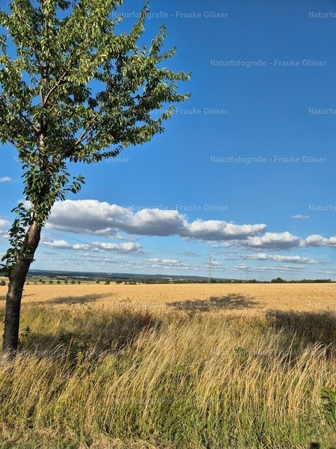 F.Gläser_182502 | Naturfotografie Frauke Gläser - Realisiert mit Pictrs.com