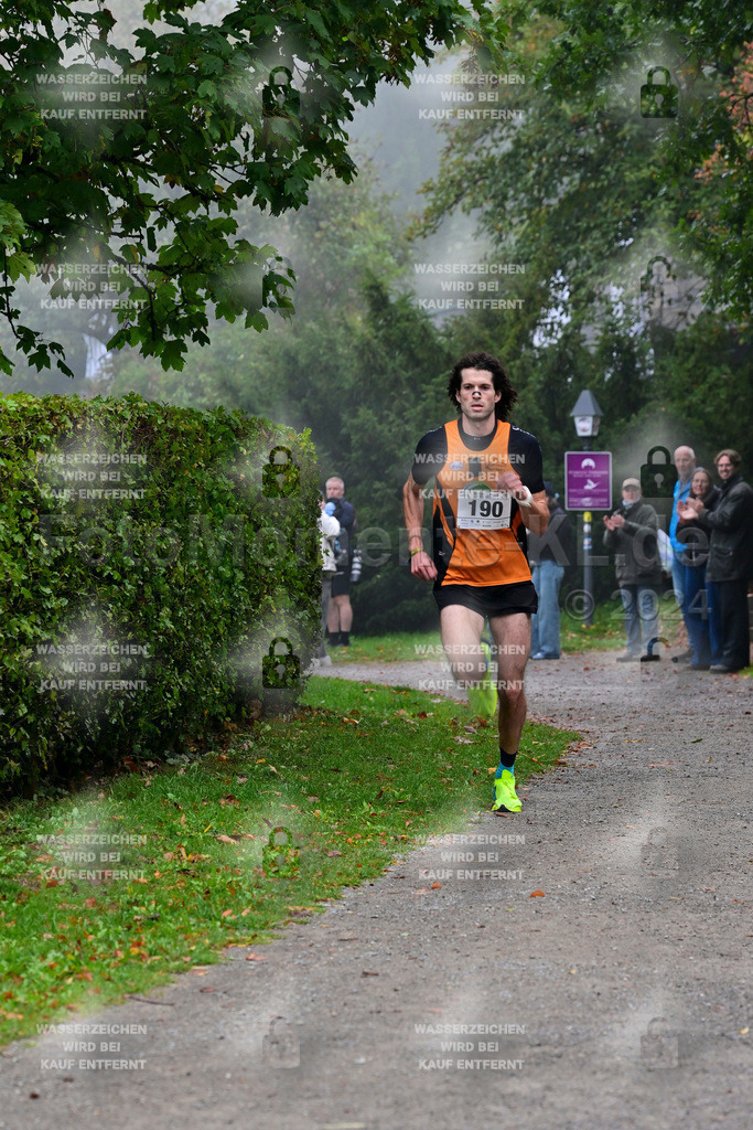 Z8N_1121 | la-psv - Realisiert mit Pictrs.com