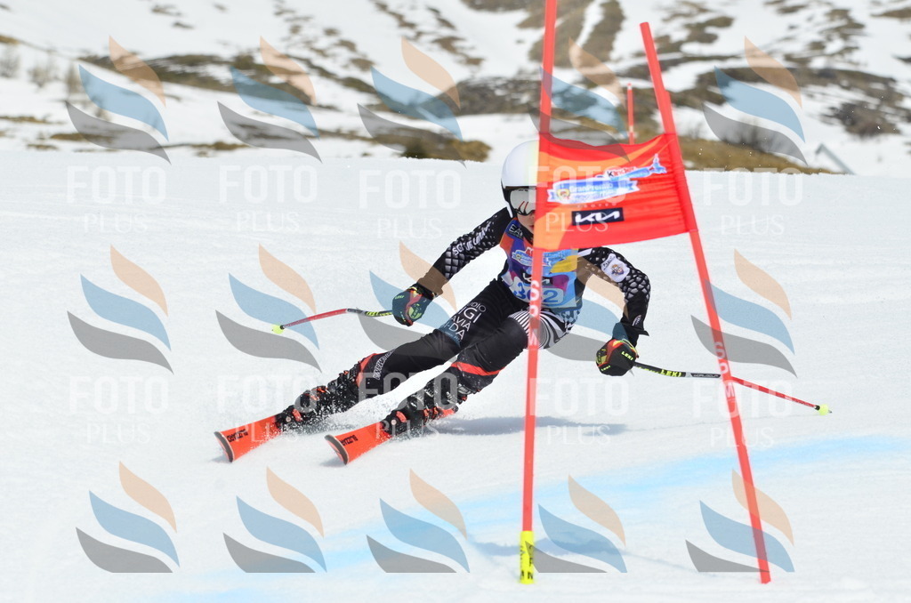 _ELE2887 | holidayphoto