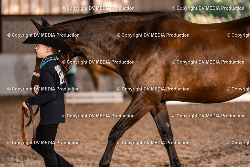 ZH100044 | dv-media-shop - Realisiert mit Pictrs.com