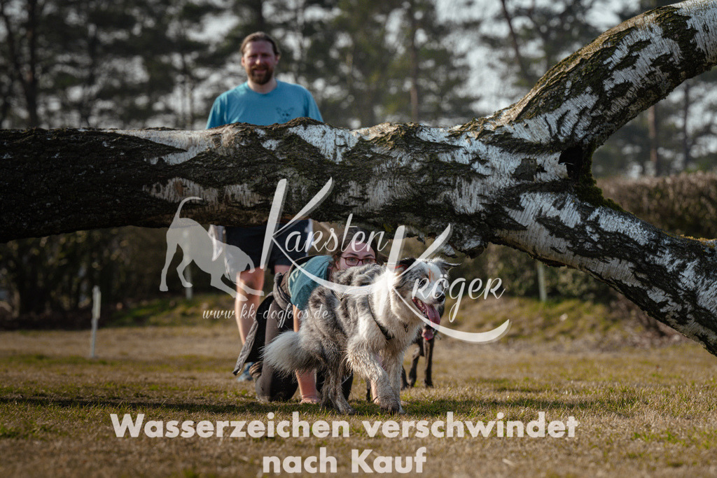 0929_ZZ99226 | kk-dogfotos