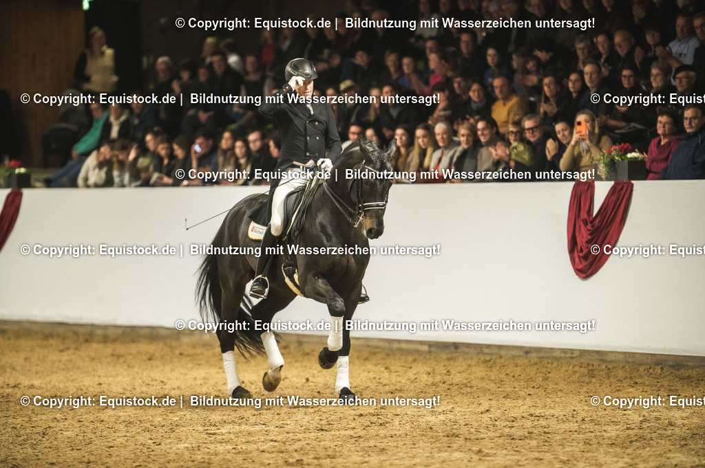 20240302_Hengstvorstellung_Marbach_TOMsPiC_1504 | equistock