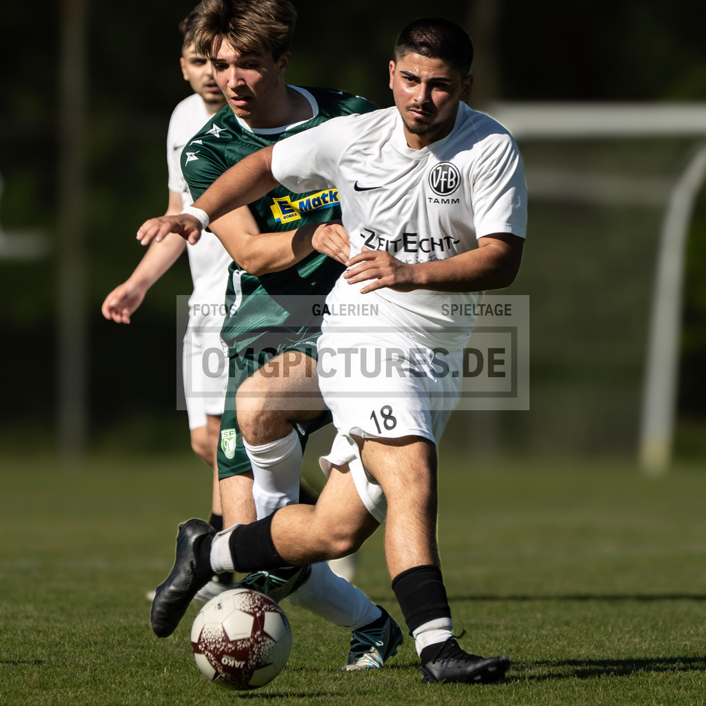 _OMG8248 | www.omgpictures.de, Sportfotograf, Verein, Fotograf, Baden Württemberg, Stuttgart, Heilbronn, omgpictures, Spieltag,  - Realisiert mit Pictrs.com